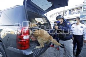 OPERATIVO ABASTO SEGURO