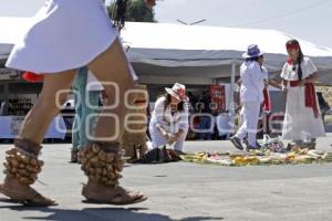 ENCUENTRO ALIANZA ANCESTRAL