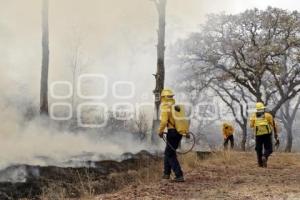 DEMOSTRACIÓN COMBATE INCENDIO