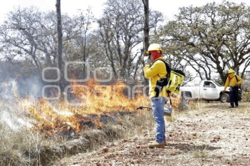 DEMOSTRACIÓN COMBATE INCENDIO