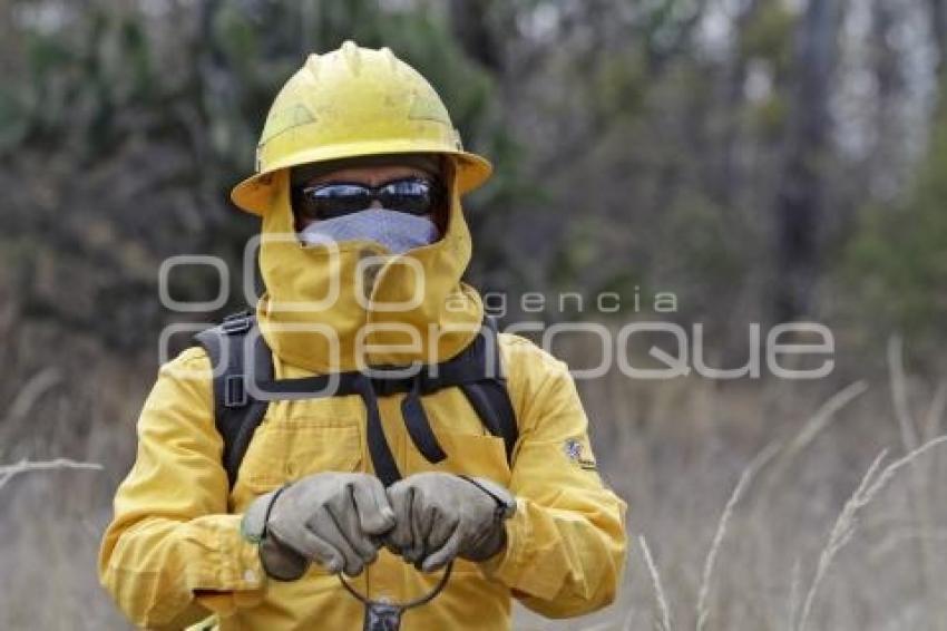 DEMOSTRACIÓN COMBATE INCENDIO