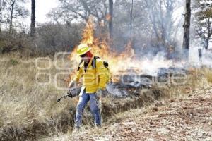 DEMOSTRACIÓN COMBATE INCENDIO