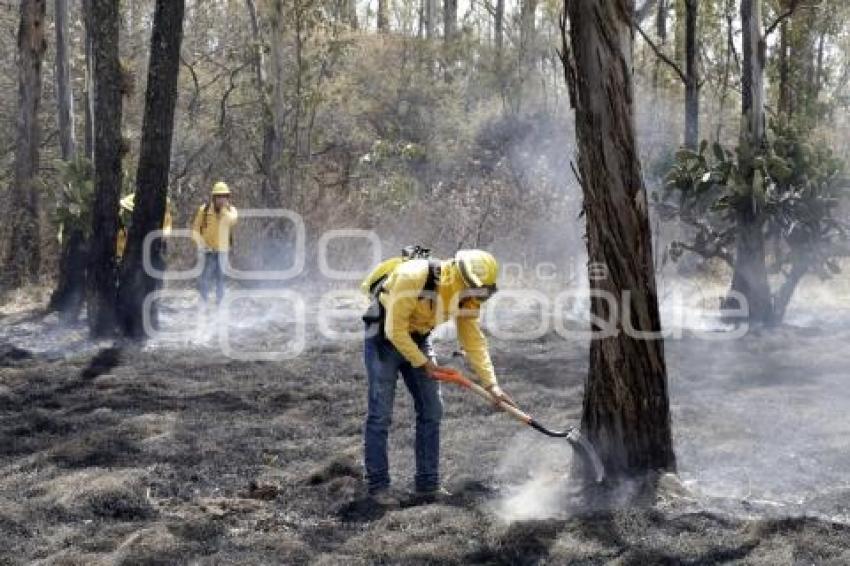 DEMOSTRACIÓN COMBATE INCENDIO