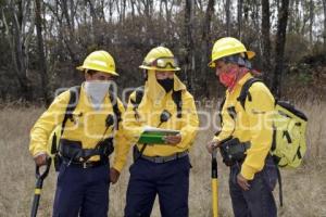 DEMOSTRACIÓN COMBATE INCENDIO