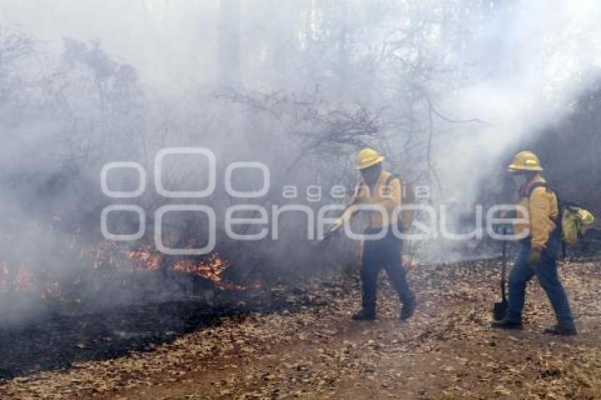 DEMOSTRACIÓN COMBATE INCENDIO