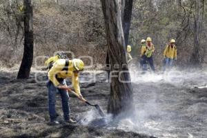 DEMOSTRACIÓN COMBATE INCENDIO