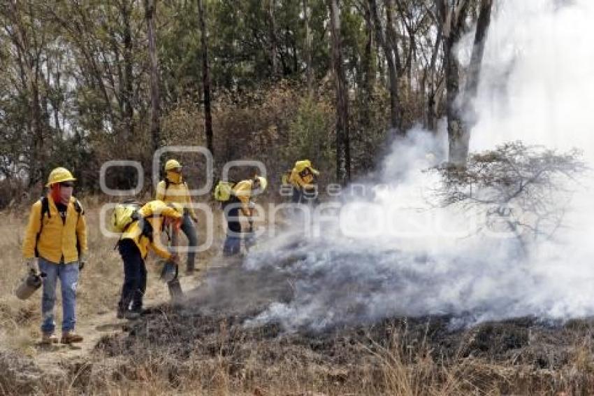 DEMOSTRACIÓN COMBATE INCENDIO