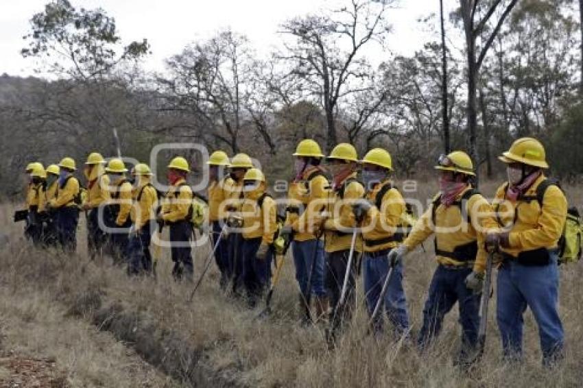 DEMOSTRACIÓN COMBATE INCENDIO