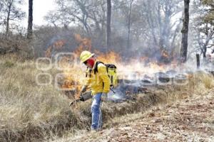 DEMOSTRACIÓN COMBATE INCENDIO