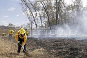 DEMOSTRACIÓN COMBATE INCENDIO