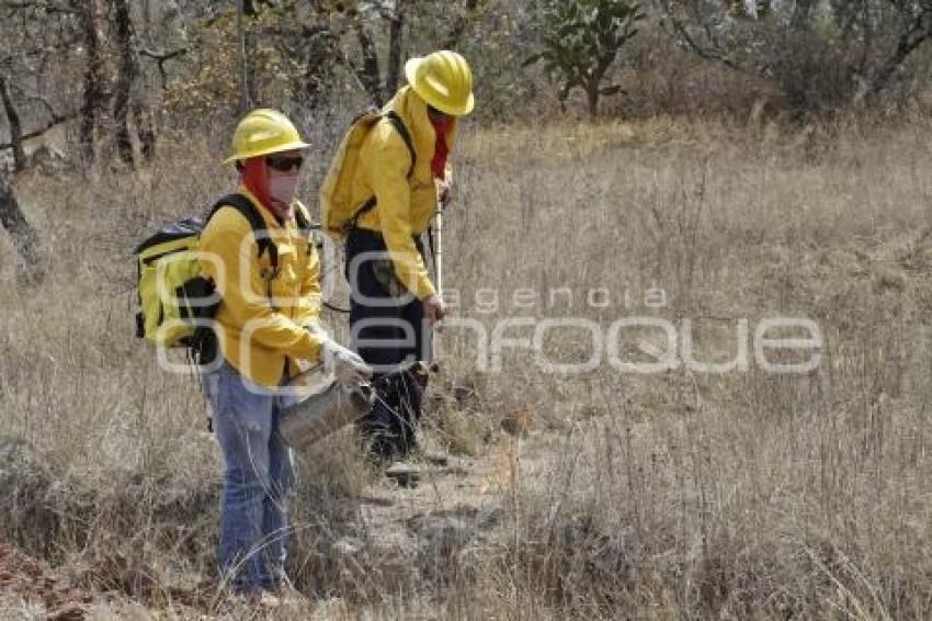 DEMOSTRACIÓN COMBATE INCENDIO