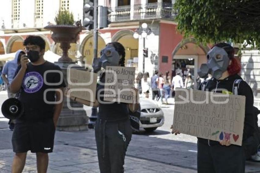 PUEBLA ANIMAL SAVE