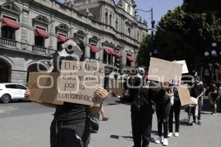 PUEBLA ANIMAL SAVE