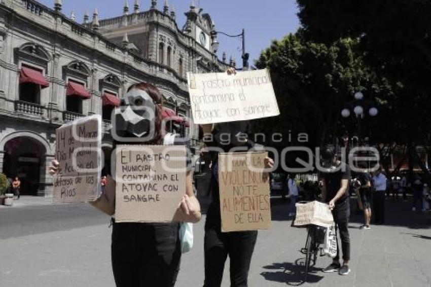 PUEBLA ANIMAL SAVE