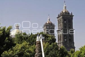 ZÓCALO . PALMERA