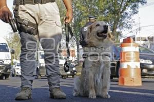 OPERATIVO TRANSPORTE SEGURO