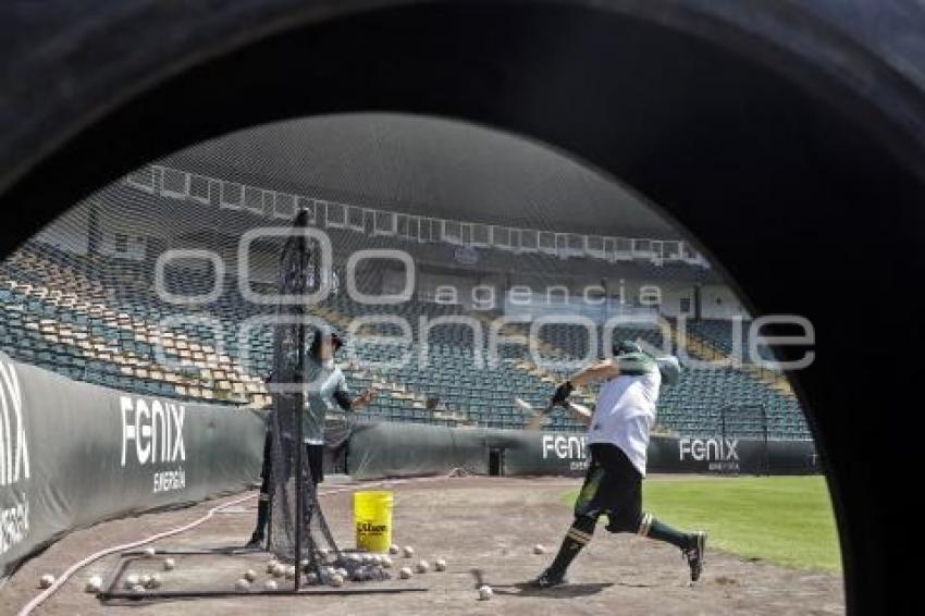 PERICOS . PRE TEMPORADA