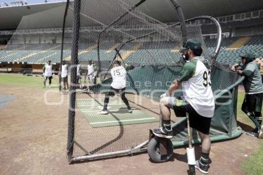 PERICOS . PRE TEMPORADA