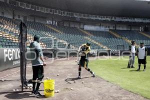 PERICOS . PRE TEMPORADA