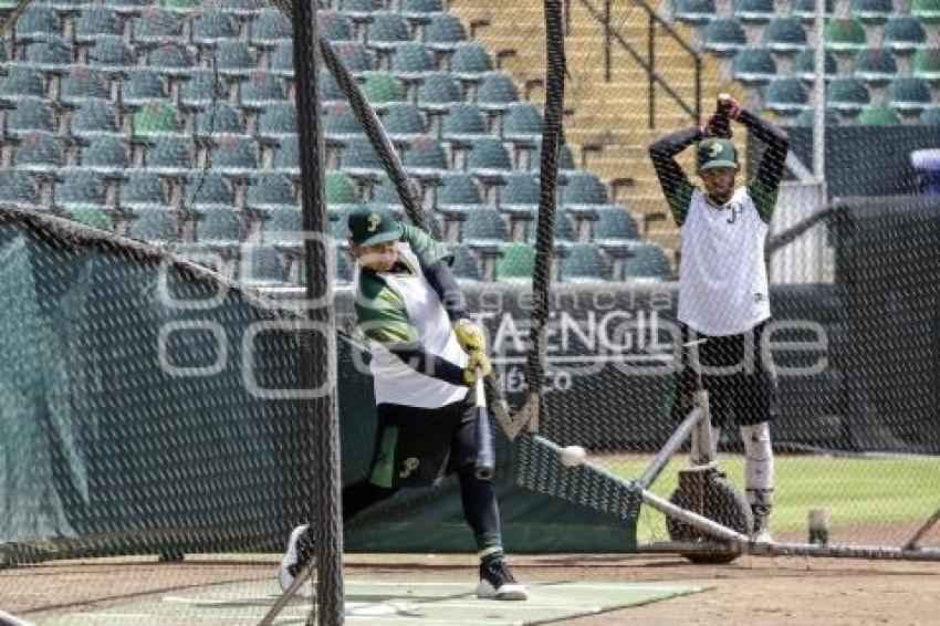 PERICOS . PRE TEMPORADA