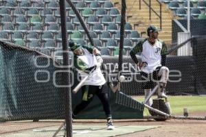 PERICOS . PRE TEMPORADA