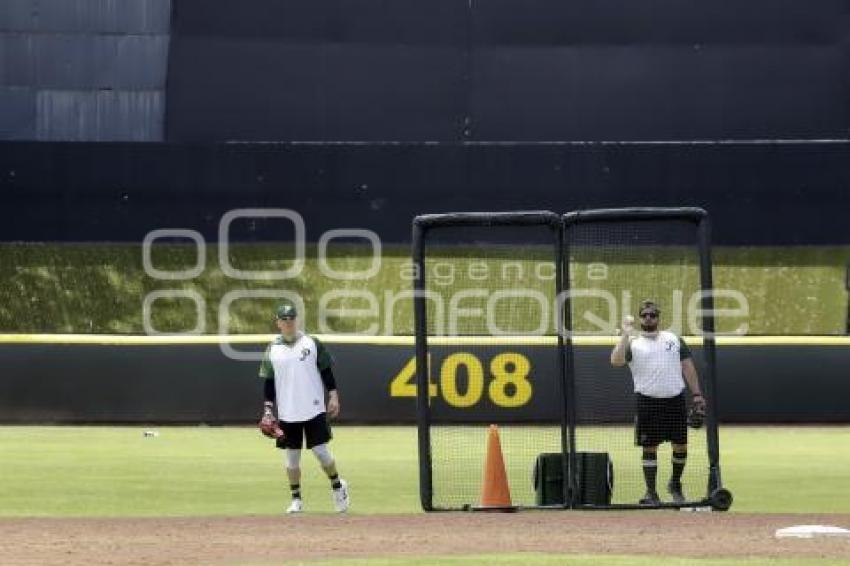 PERICOS . PRE TEMPORADA