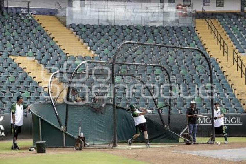 PERICOS . PRE TEMPORADA