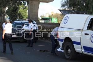 ATROPELLADO AUTOPISTA MÉXICO-PUEBLA