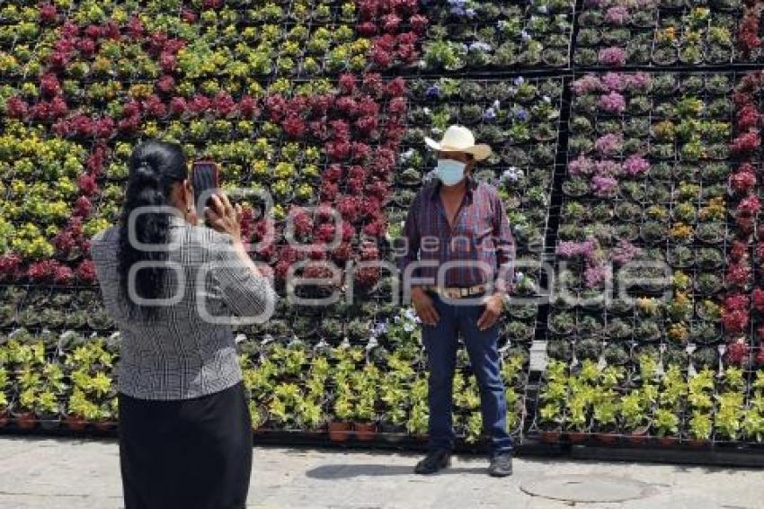 ATLIXCO . EQUINOCCIO DE PRIMAVERA