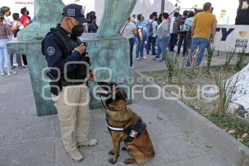 TLAXCALA . BINOMIO CANINO