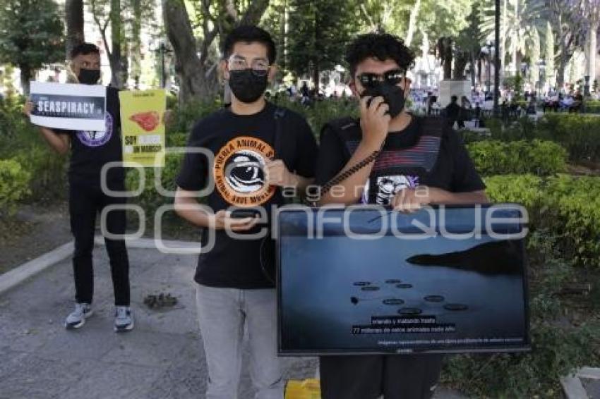 MANIFESTACIÓN CONTRA LA PESCA