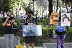 MANIFESTACIÓN CONTRA LA PESCA