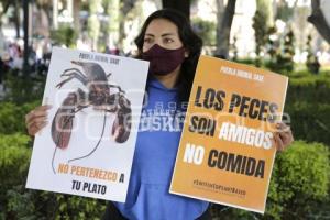 MANIFESTACIÓN CONTRA LA PESCA