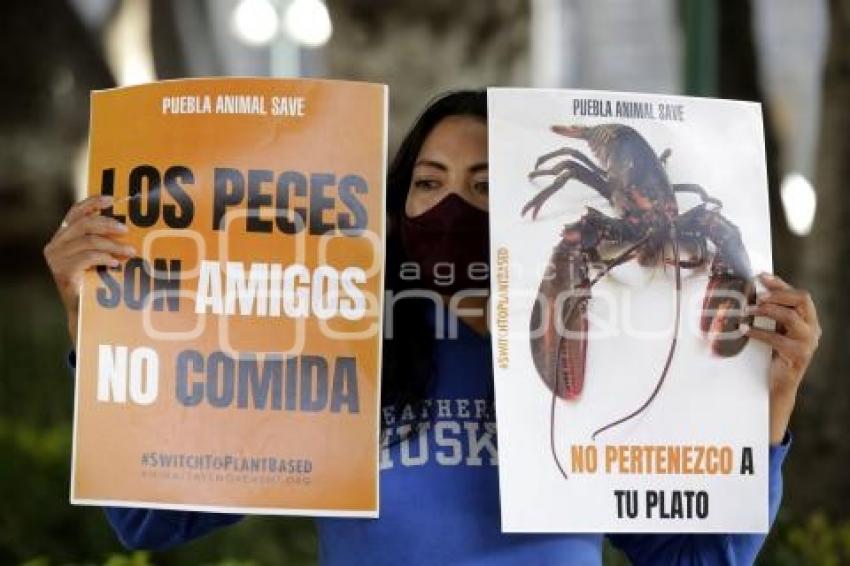 MANIFESTACIÓN CONTRA LA PESCA