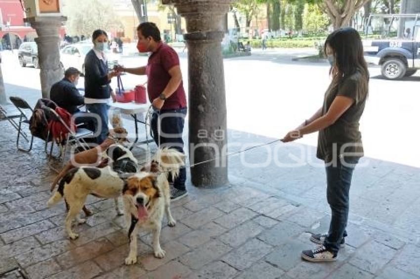 TLAXCALA . VACUNACIÓN ANTIRRÁBICA