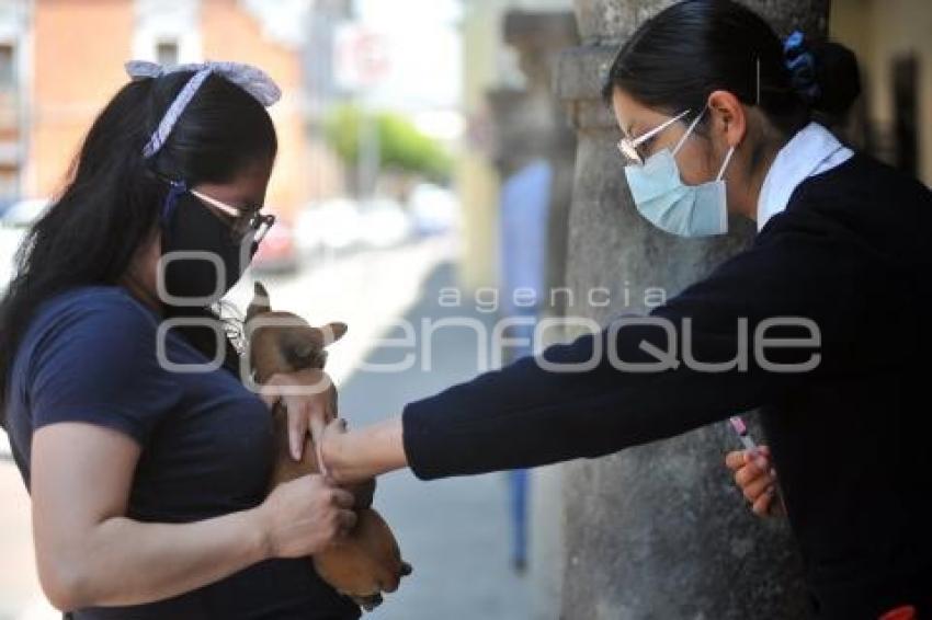 TLAXCALA . VACUNACIÓN ANTIRRÁBICA