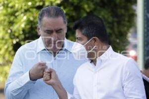 AYUNTAMIENTO . LIMPIEZA CAMELLONES