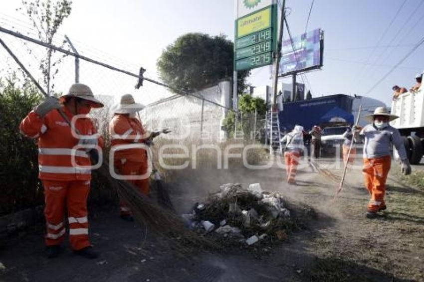 AYUNTAMIENTO . LIMPIEZA CAMELLONES