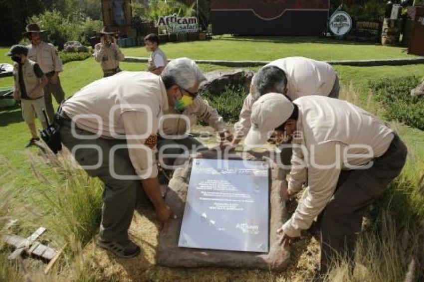 AFRICAM SAFARI . 50 ANIVERSARIO