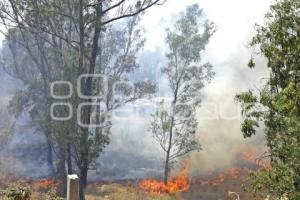 BOMBEROS . INCENDIO