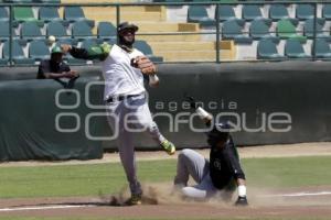 BEISBOL . PERICOS VS OLMECAS