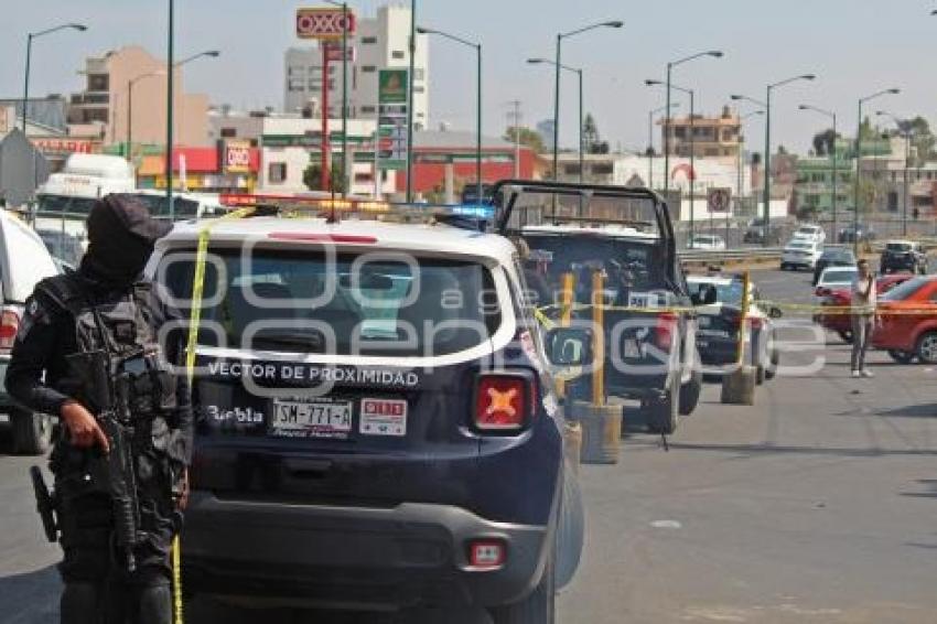 CENTRAL DE ABASTO . MUERTO 