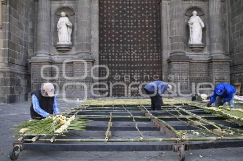 CATEDRAL . ADORNO PALMAS