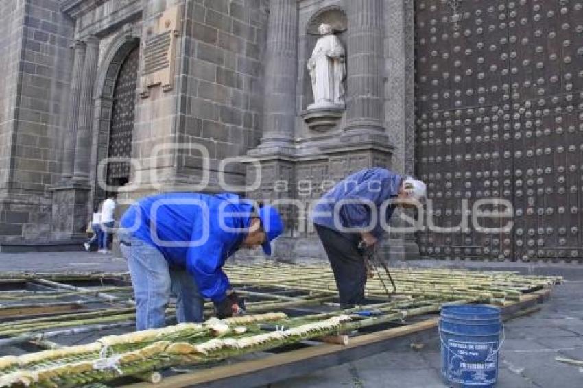 CATEDRAL . ADORNO PALMAS