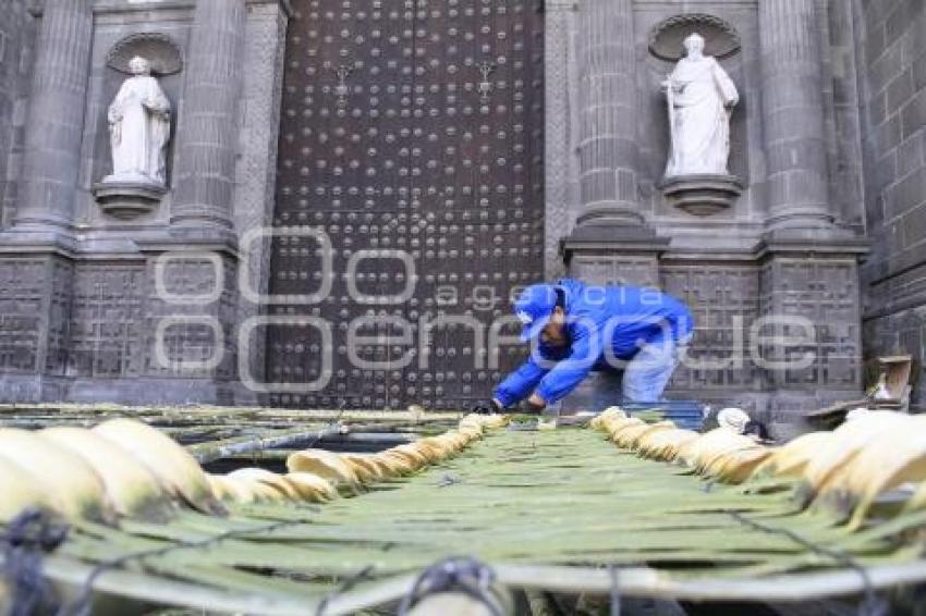 CATEDRAL . ADORNO PALMAS