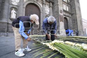 CATEDRAL . ADORNO PALMAS