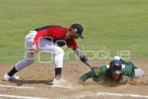 BEISBOL . PERICOS VS TOROS