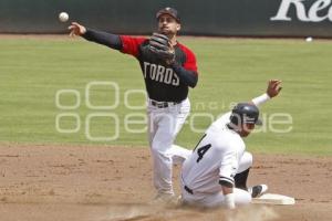 BEISBOL . TOROS VS GUERREROS