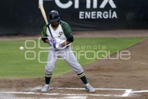 BEISBOL . PERICOS VS GUERREROS