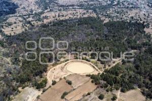 TLAXCALA . BOSQUE TEMENTZONTLA